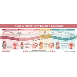 Cykl menstruacyjny bez tajemnic - co jest normą, a co powinno skłonić do konsultacji