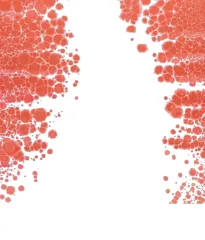 Środki hemostatyczne