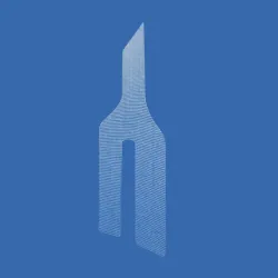 ALBIS Mesh siatka do sakropeksji w kształcie Y v2.0