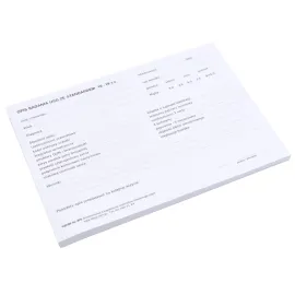 Druk opisu badania USG 16-18 tydzień wg. PTG 100 arkuszy A5