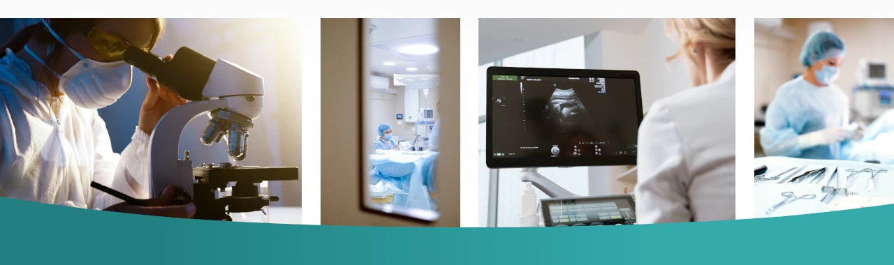 Albis Mazur Sp. z o.o. - dziękujemy, że możemy być częścią Twojego dnia